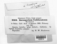 Sorosporium californicum image